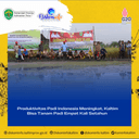 Produktivitas Padi Indonesia Meningkat, Kaltim Bisa Tanam Padi Empat Kali Setahun